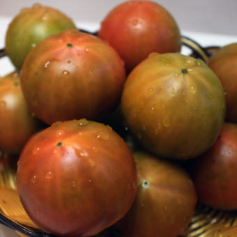 프리미엄 명품 짭짤이 토마토 5kg